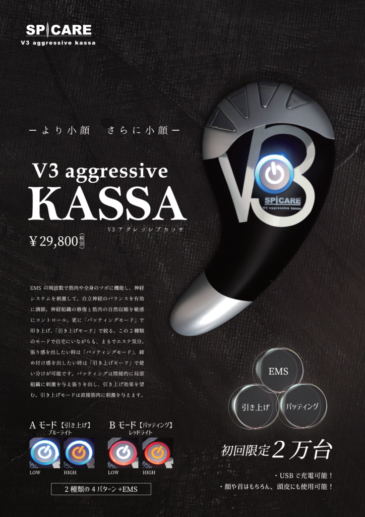 V3-アグレッシブカッサ-724x1024.png