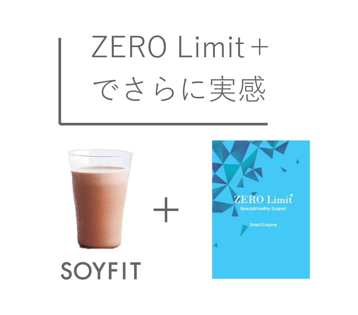 SOYFIT -ソイフィット- 美容メーカー|トライアングルアンドコー | 総合 