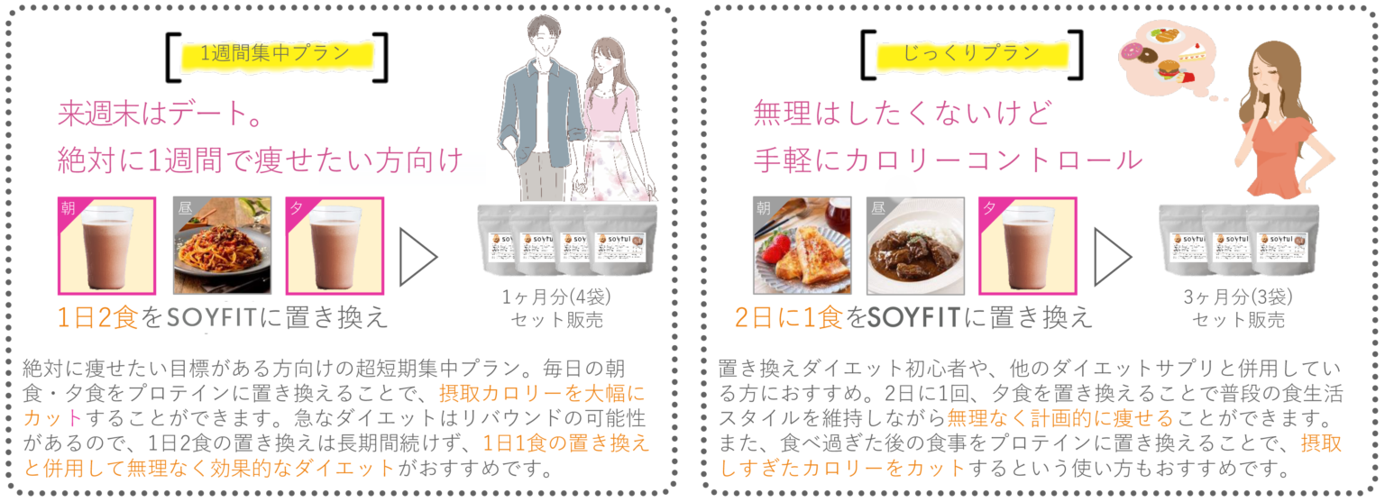 ソイフィットのリーフレット